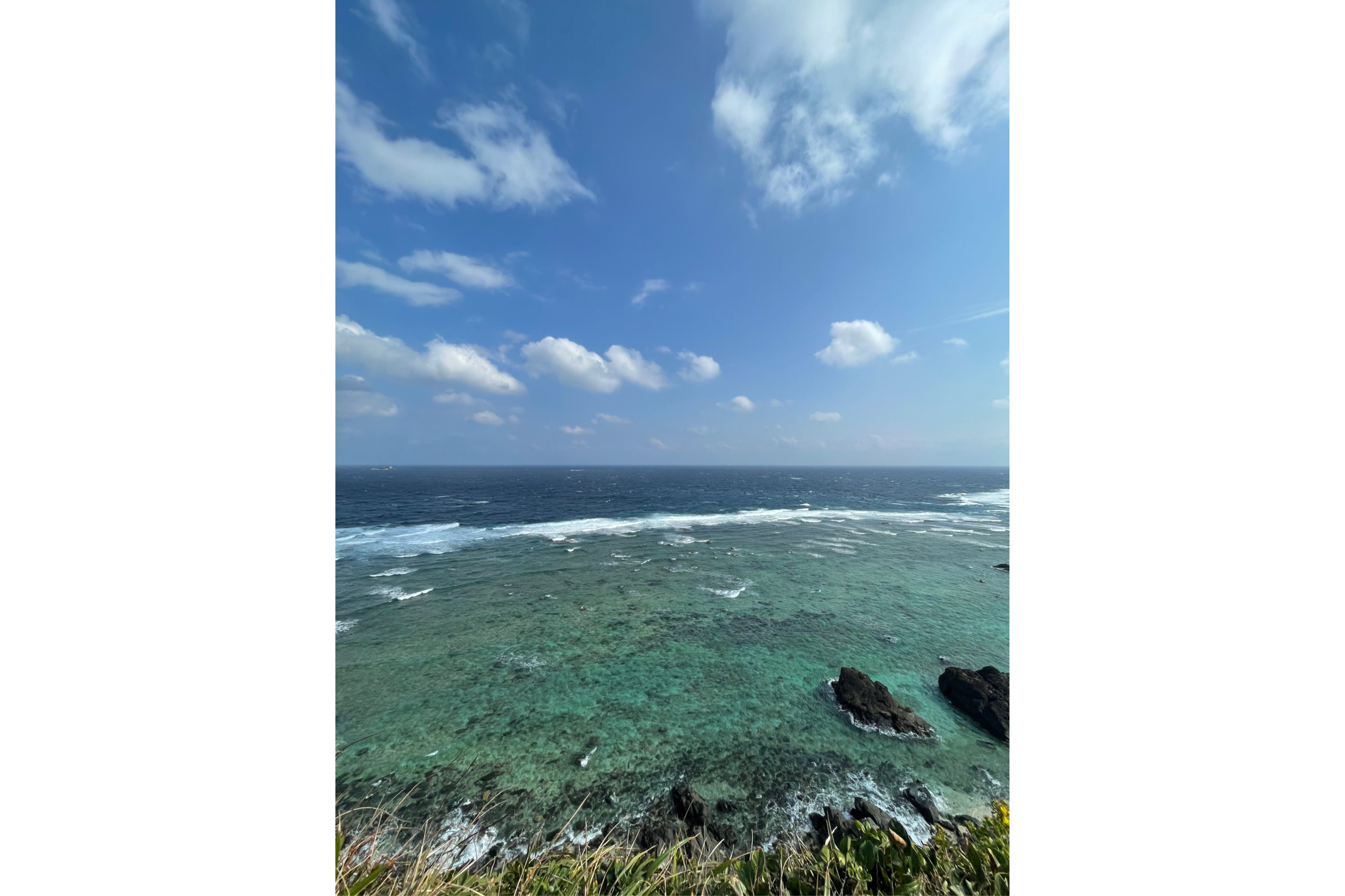 海